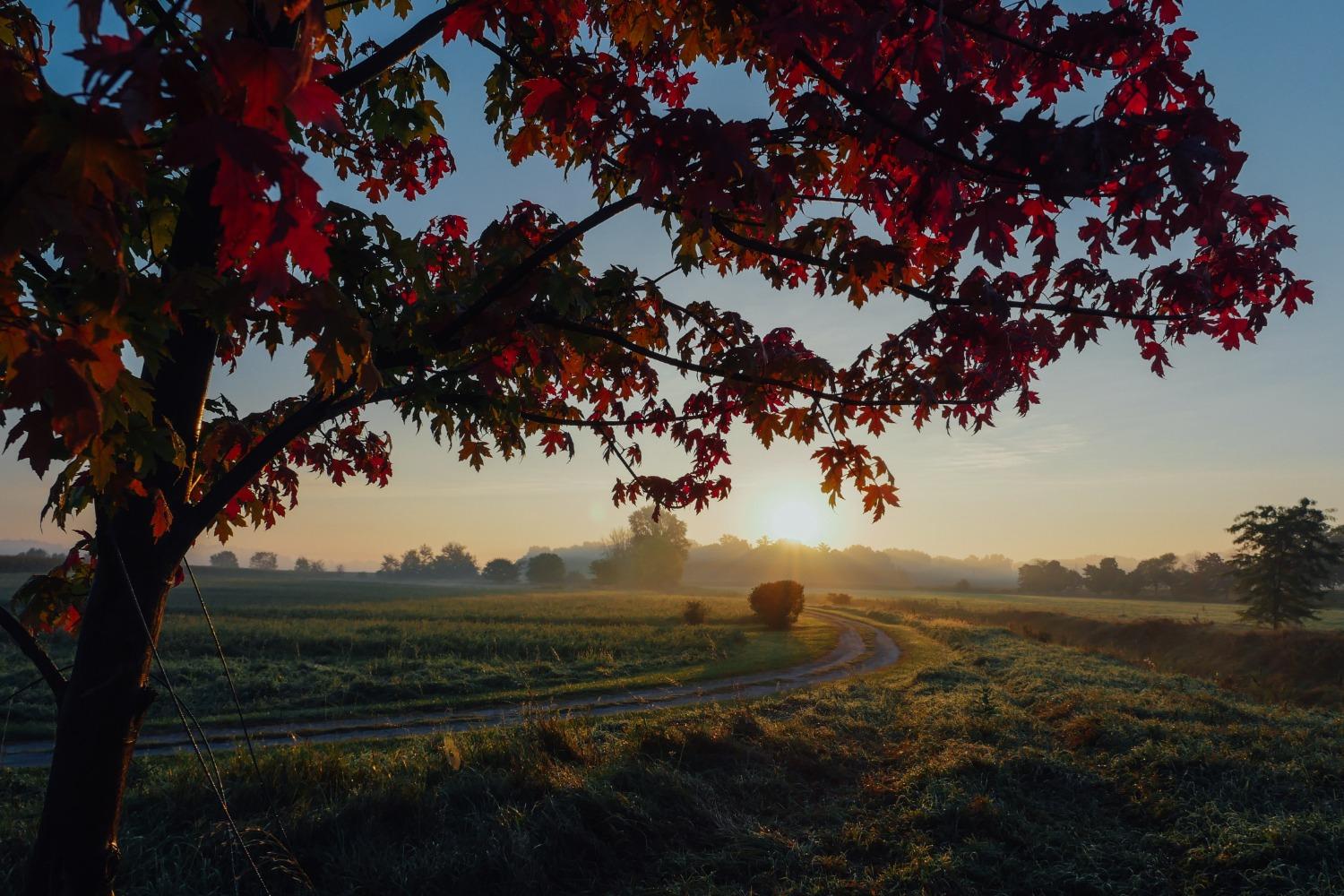 An autumn sunrise over a field