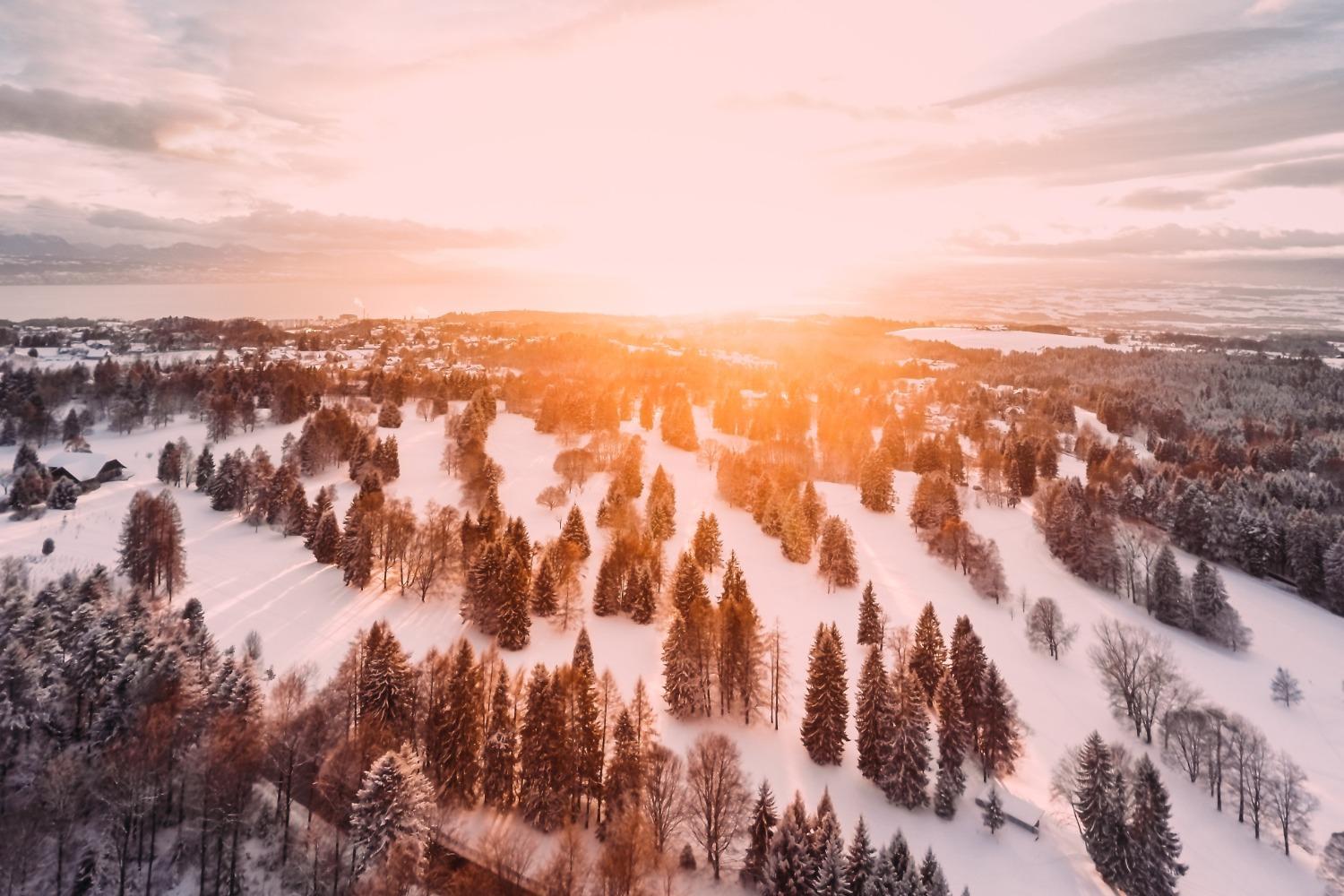 Sunrise over a winter forest