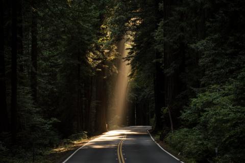 Light Shining on a Dark Road