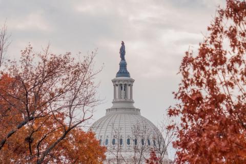 The United States Capitol in Autumn